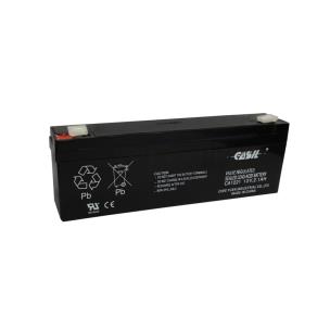 Burglar Alarm Batteries